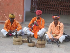 Snake Charmers in Jaipur City
