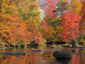 Fall in Peterborough, NH