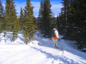 Geoff in the glades...