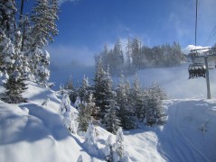 Blackcomb Whistler