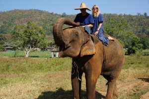 Ran-Tong Elephant Save & Rescue Center