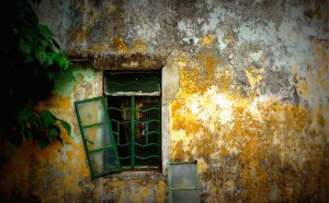 Click here for the photos!