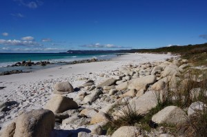 Click here for the photos!