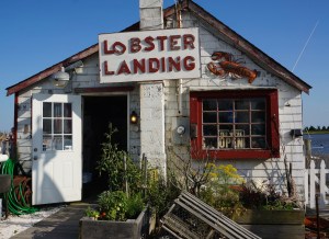 Click here for the photos!