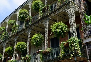 Click here for the photos!