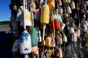 Click here for the photos!