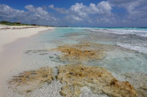 Click here for the photos!