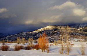 Click here for the photos!