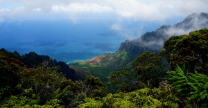 Click here for the photos!