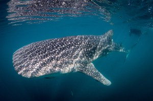 Click here for the photos!