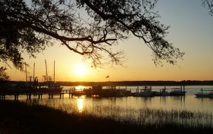 Click here for the photos!