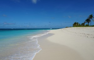 Click here for the photos!