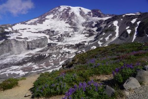 Click here for the photos!