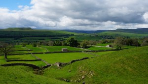 Click here for the photos!