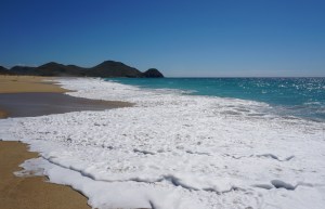 Click here for the photos!