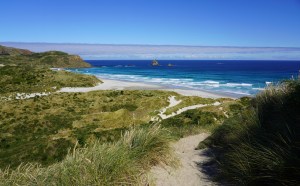 Click here for the photos!